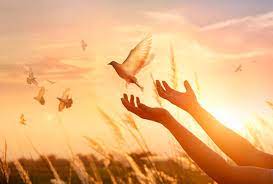 Guiados pelo Espirito